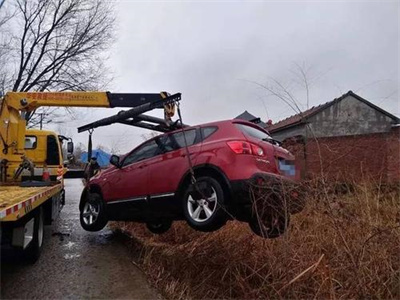 南皮楚雄道路救援